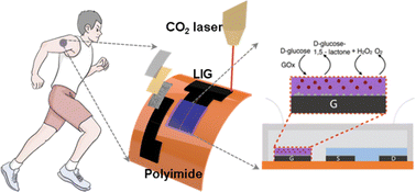 Graphical abstract: A laser-induced graphene-based flexible and all-carbon organic electrochemical transistor