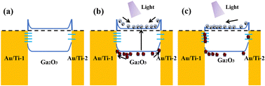 Graphical abstract: Tailoring photodetection performance of self-powered Ga2O3 UV solar-blind photodetectors through asymmetric electrodes