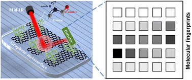 Graphical abstract: Graphene plasmonics for ultrasensitive imaging-based molecular fingerprint detection