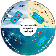 Graphical abstract: A novel environment-tolerant hydrogel via a combination effect of a polyurethane coating and hygroscopic salt for underwater monitoring