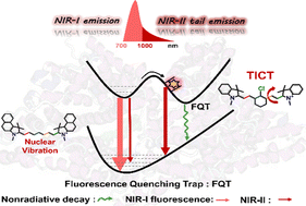 Graphical abstract: Origins of near-infrared-II emission tail and fluorescence enhancement of albumin-chaperoned cyanine dyes from a multiscale computational study