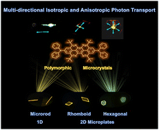 Graphical abstract: Diphenylamine substituted 5,6,12,13-tetraazaperopyrene based polymorphic microcrystals versatile in multi-directional isotropic and anisotropic photon transport