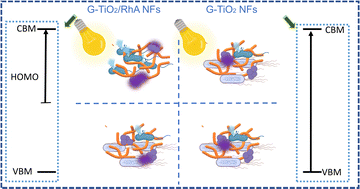 Graphical abstract: Photon-driven bactericidal performance of surface-modified TiO2 nanofibers