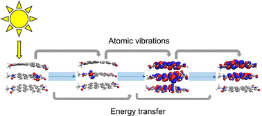 Graphical abstract: The impact of stacking and phonon environment on energy transfer in organic chromophores: computational insights