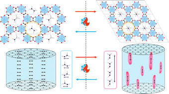 Graphical abstract: A new avenue to relaxor-like ferroelectric behaviour found by probing the structure and dynamics of [NH3NH2]Mg(HCO2)3