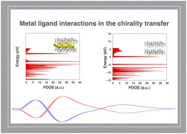 Graphical abstract: Atomistic modeling of metal–ligand chirality transfer and chiroptical properties of lead and tin hybrid perovskites