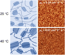 Graphical abstract: Structural control of charge transport in polymer monolayer transistors by a thermodynamically assisted dip-coating strategy