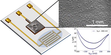 Graphical abstract: Cu-modified electrolyte-gated transistors based on reduced graphene oxide