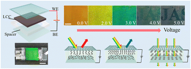 Graphical abstract: Color-transparency dual-control devices based on patterned electrode-induced limited assembly of photonic liquid