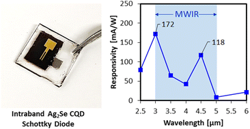 Graphical abstract: Schottky photodiodes based on mid-wavelength infrared intraband colloidal quantum dots – surface ligand and metal contact studies