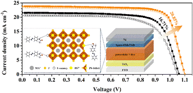 Graphical abstract: A novel azo dye molecule enables defect passivation and crystallization toward efficient perovskite solar cells