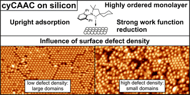 Graphical abstract: Influence of the defect density on the ordering of an NHC monolayer on a silicon surface