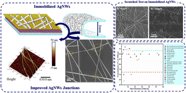 Graphical abstract: Microwave-assisted immobilized silver nanowires on arbitrary substrates: an eco-friendly technique for next-generation transparent, flexible and robust electronics