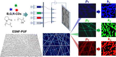 Graphical abstract: A multicolor carbon dot doped nanofibrous membrane for unclonable anti-counterfeiting and data encryption