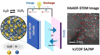 Graphical abstract: Reconstruction of nitrogen-containing covalent organic framework-coordinated Ir single-atom electrocatalysts for high-performance lithium-rich oxygen battery cathodes