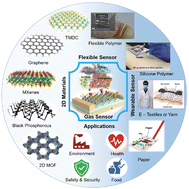Graphical abstract: Flexible/wearable resistive gas sensors based on 2D materials