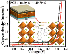 Graphical abstract: Rhodamine B as an efficient multifunctional passivator for the improvement of perovskite solar cell performance