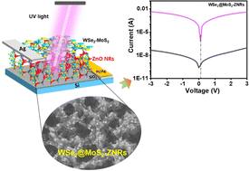 Graphical abstract: Tunable defect-engineered nanohybrid heterostructures: exfoliated 2D WSe2–MoS2 nanohybrid sheet covered on 1D ZnO nanostructures for self-powered UV photodetectors