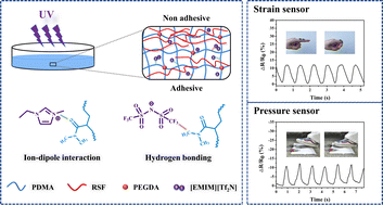 Graphical abstract: Janus-type ionic conductive gels with single-sided adhesiveness prepared by a “one-step” method for strain/pressure sensors