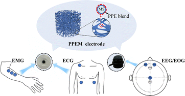 Graphical abstract: A reversible gel-free electrode for continuous noninvasive electrophysiological signal monitoring