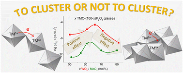 Graphical abstract: Glass structure as a driver of polaronic conductivity in phosphate glasses containing MoO3 and WO3