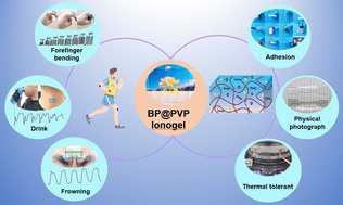 Graphical abstract: A sticky, thermal tolerant, tough BP@PVP ionogel for epidermal sensors