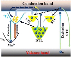 Graphical abstract: Effect of Mn2+ doping on exciton recombination and carrier trapping in the Cs2CdCl4 metal halide