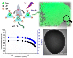 Graphical abstract: Mn2+-doped organic–inorganic hybrids (C8H20N)2Zn1−xMnxBr4 as sub-micrometer green phosphors for Mini-LEDs/Micro-LEDs