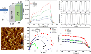 Graphical abstract: Improved performance of ZnO based inverted organic photodetectors with morphological and interfacial modification