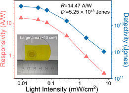 Graphical abstract: Blade-coating of a highly crystallized lead-free silver-bismuth halide double perovskite thin film with improved stability for high-performance photodetection