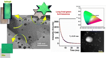 Graphical abstract: A long-lived photoluminescent silver nanocluster-infused silver terephthalate metal organic framework with antibacterial and biofilm inhibition activity: a high functional resource