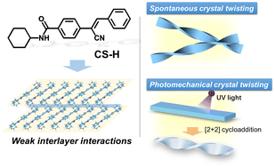 Graphical abstract: Spontaneous and photomechanical twisting of a cyanostilbene-based molecular crystal