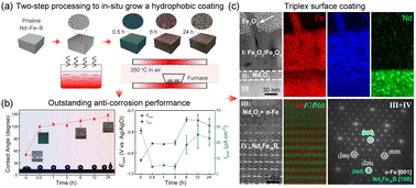 Graphical abstract: Outstanding anti-corrosion performance in Nd–Fe–B permanent magnets by constructing a hydrophobic triplex surface coating