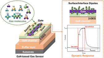 Graphical abstract: A comprehensive review of gallium nitride (GaN)-based gas sensors and their dynamic responses