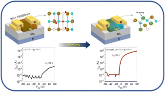 Graphical abstract: Optimization of solution-processed amorphous cadmium gallium oxide for high-performance thin-film transistors