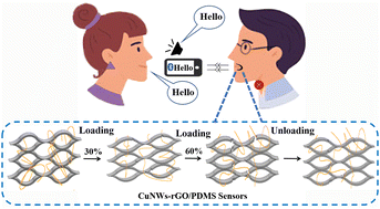 Graphical abstract: A highly stretchable and sensitive strain sensor for lip-reading extraction and speech recognition