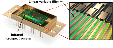 Graphical abstract: Chip-scale short-wavelength infrared InGaAs microspectrometer based on a linear variable optical filter