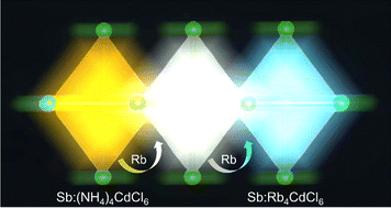 Graphical abstract: Highly efficient warm white light emission in Sb3+-doped (NH4)4CdCl6 metal halides through A-site Rb-alloying regulation