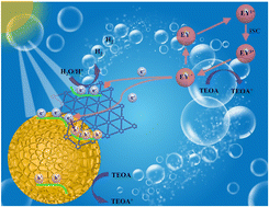 Graphical abstract: Mechanochemical preparation of graphdiyne (CnH2n−2) based Ni-doped MoS2 S-scheme heterojunctions with in situ XPS characterization for efficient hydrogen production