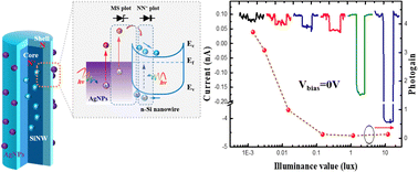 Graphical abstract: A high-performance broadband double-junction photodetector based on silicon nanowire arrays wrapped by silver nanoparticles for low-light imaging