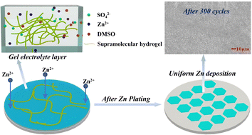 Graphical abstract: Study of a novel supramolecular hydrogel electrolyte for aqueous zinc ion batteries