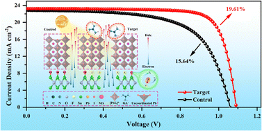 Graphical abstract: Regulating charge carrier extraction and transport with dual-interface modification for efficient perovskite solar cells