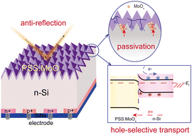 Graphical abstract: Solution-processed PSS:MoOx composite thin film with triple function (passivation, antireflection, and hole-selective transport) for application in IBC solar cells