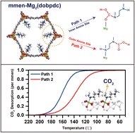 Graphical abstract: Insights into the capture mechanism of CO2 by diamine-appended Mg2(dobpdc): a combined DFT and microkinetic modeling study