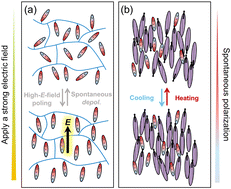 Graphical abstract: Achieving enhanced second-harmonic generation in ferroelectric nematics by doping D–π–A chromophores