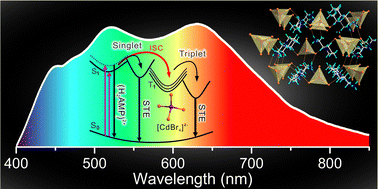 Graphical abstract: Singlet exciton and singlet/triplet self-trapped excitons for ultra-broadband white-light emission in a zero-dimensional cadmium bromide hybrid