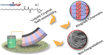 Graphical abstract: Nanostructured liquid-crystalline polymer films for ionic actuators: self-assembly of photopolymerizable ionic itaconate with an ionic liquid