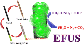 Graphical abstract: Exploration of 3D NiCu-layered double hydroxide flowers tailored on a biomass-derived N-doped carbon stick electrode as a binder-less enzyme-free urea sensing probe
