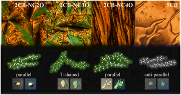 Graphical abstract: Aggregation-induced emission mesogens formed by intermolecular hydrogen bonding of 4-alkyl-4′-cyanobiphenyl molecules