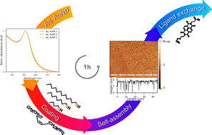 Graphical abstract: One hour road to high-quality arrays of gold nanoparticles coated with organic ligands